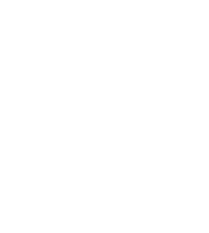 cat shield